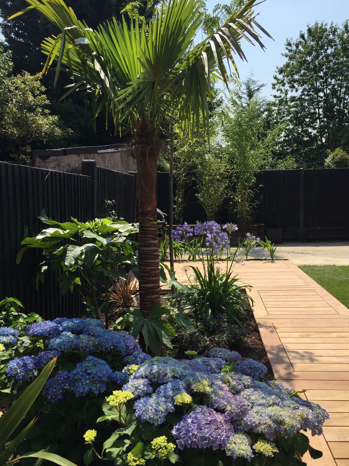 The lush soft landscaping rests on exotic feature planting in the form of mature cordyline australis and trachycarpus fortunei.