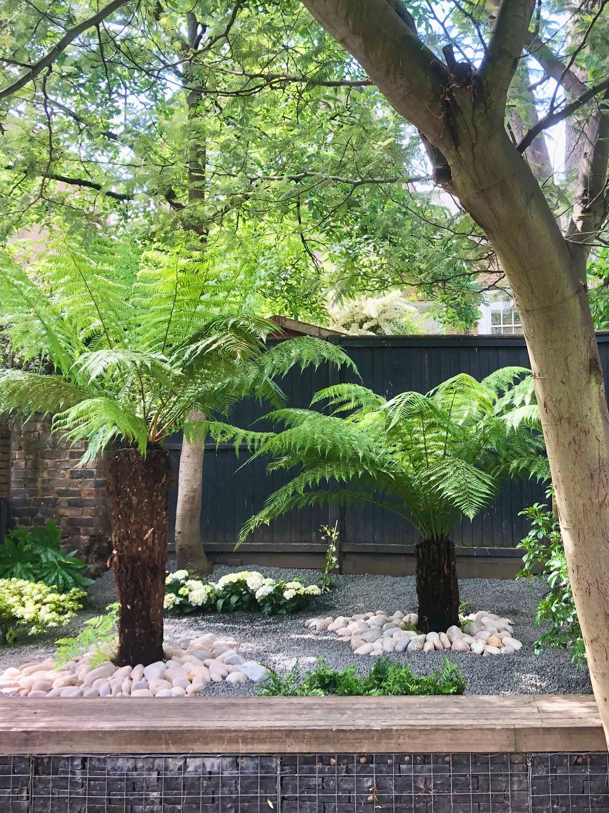 Creating a Lush Oasis in London