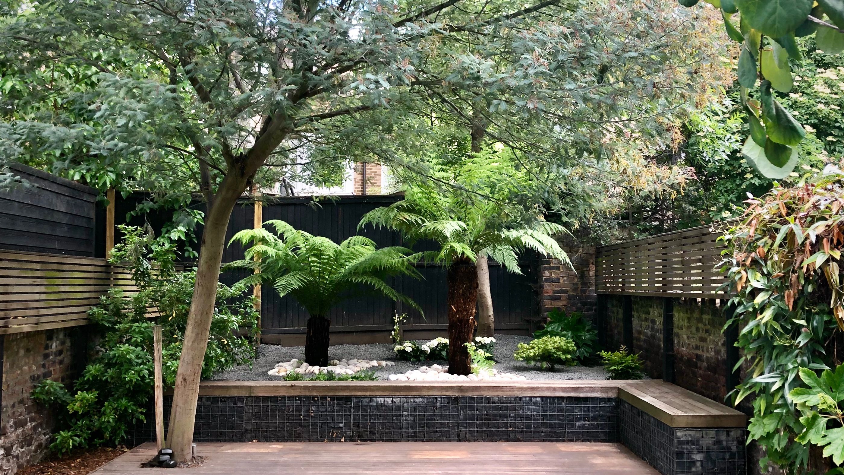 Garden Landscape Planting Design in North London Crouch End with Exotic Tree Ferns and Lush Greenery