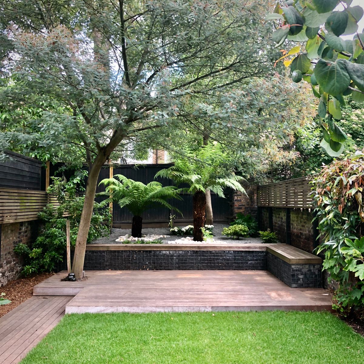 Garden Landscape Planting Design in North London Crouch End with Exotic Tree Ferns and Lush Greenery