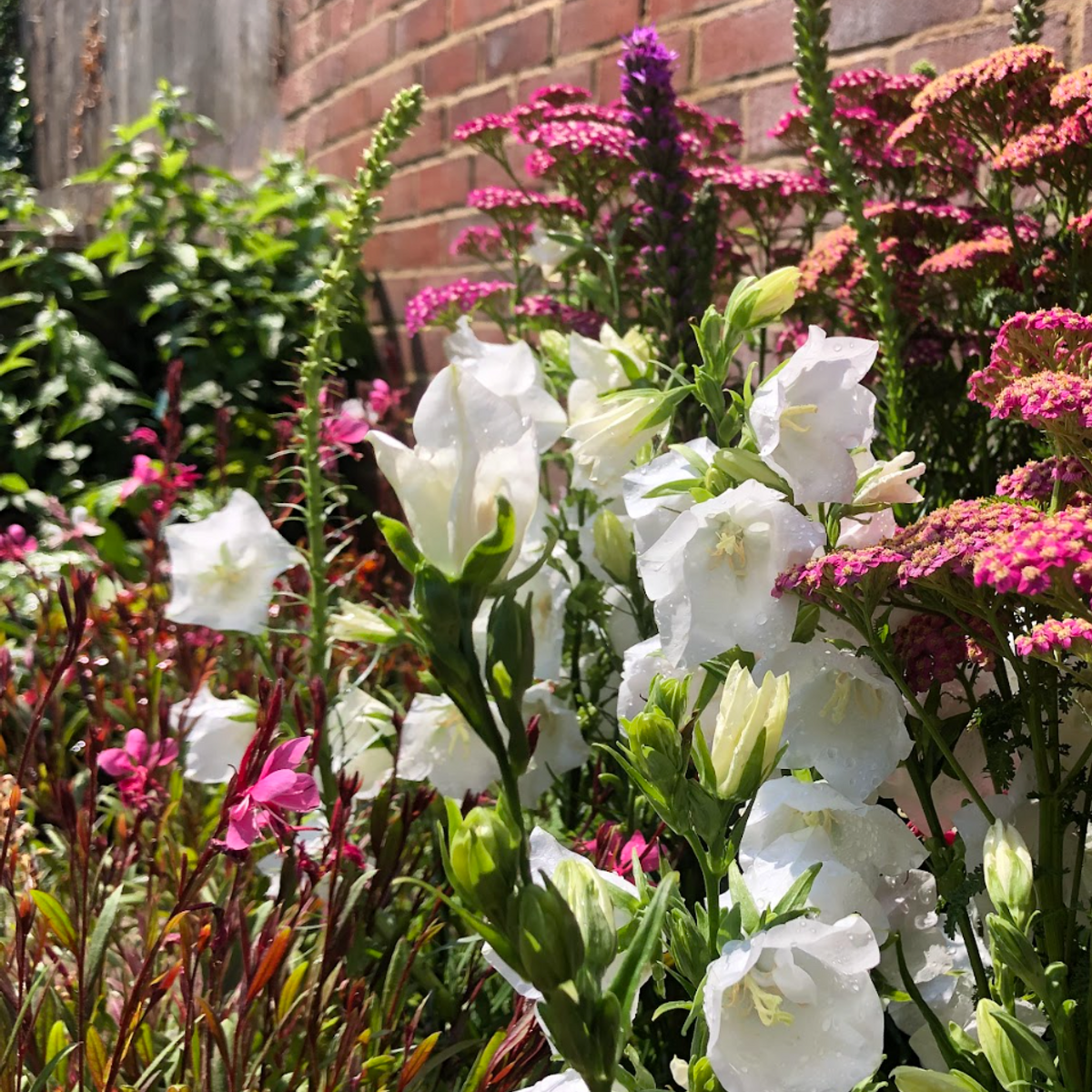 Sunny Spot Floral Planting Scheme in South Facing Garden Creating Urban Retreat In Columbia Road, E2 East London