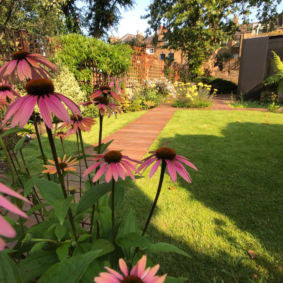 Decking Pathway and Lawn